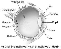 Macular Hole/Pucker